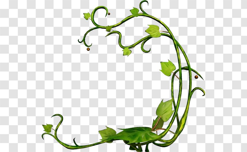 Watercolor Flower Background - Ivy Plant Stem Transparent PNG