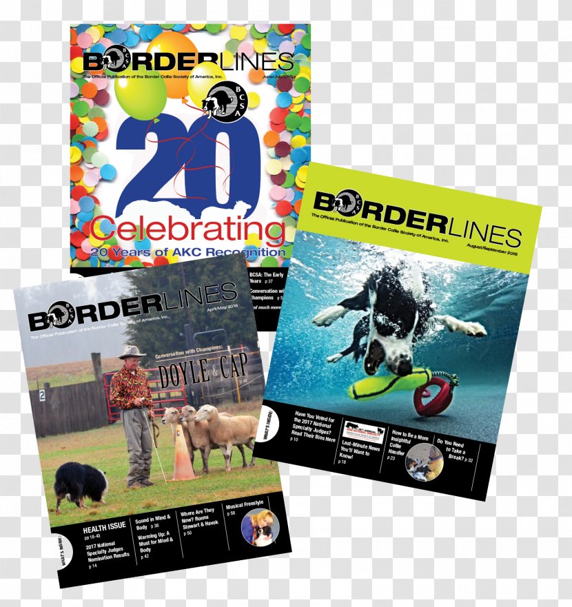 Teen Magazine Seventeen Border Collie Publication - United States - Colors Transparent PNG