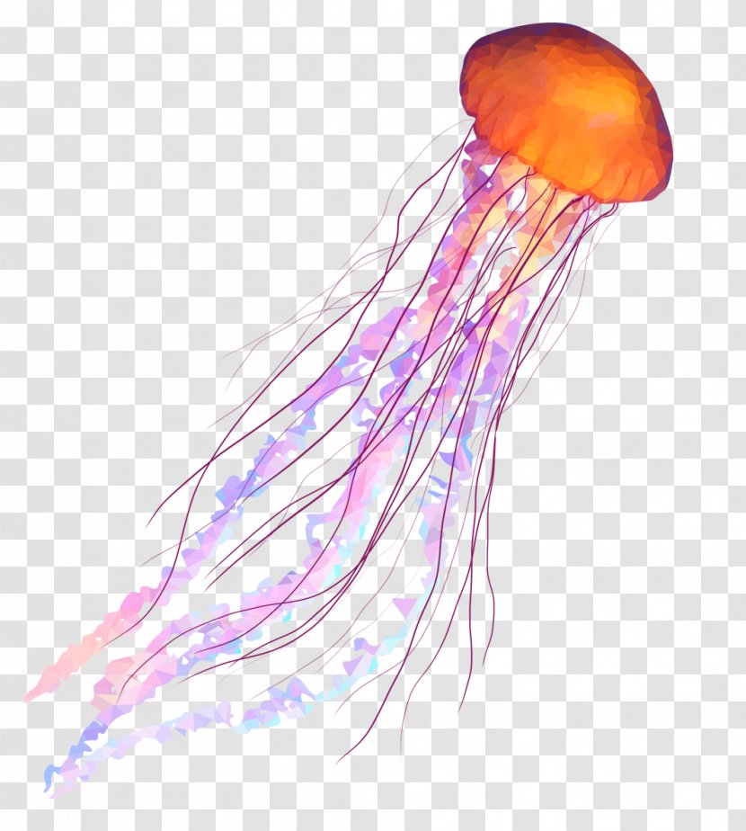 Box Jellyfish Coelenterata Aquatic Animal Soft-bodied Organism - Deutsche Startups - Watercolor Transparent PNG