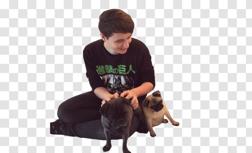 Doug The Pug Dan And Phil Amazing Book Is Not On Fire YouTube - Pewdiepie - Transparent Transparent PNG