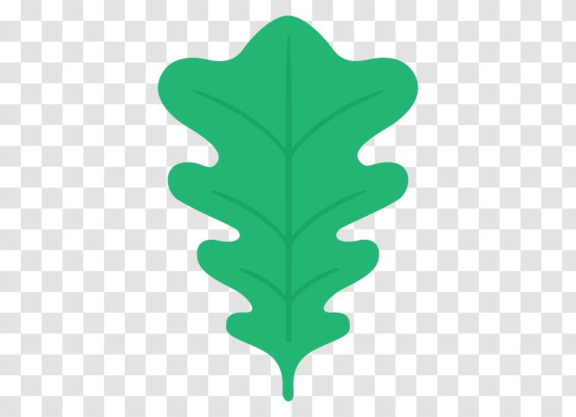 Illustration Leaf Tree Plants Vector Graphics - Plant - Green Transparent PNG