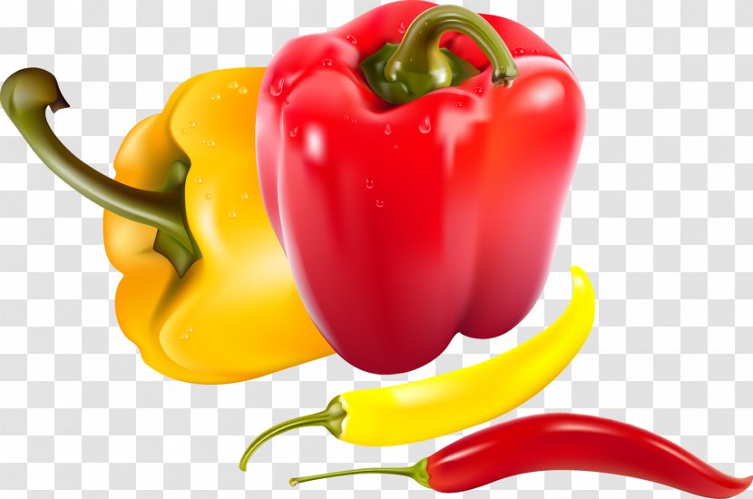 Vegetable Bell Pepper Capsicum Grocery Store - Fruit Transparent PNG