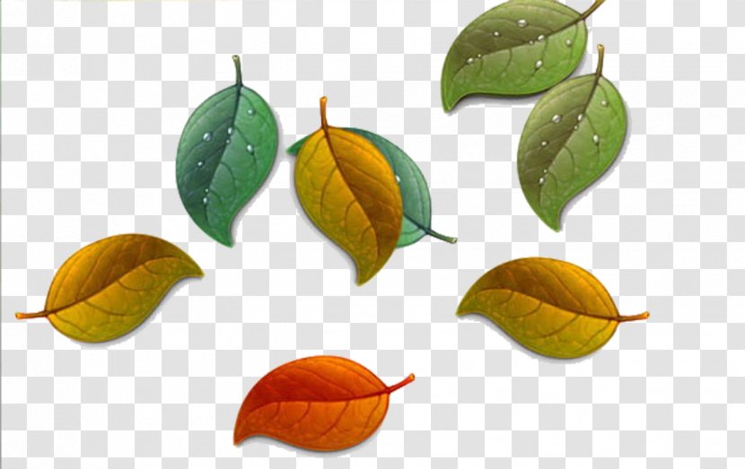 Template Reversal Film Illustration - Leaf - Autumn Leaves Transparent PNG