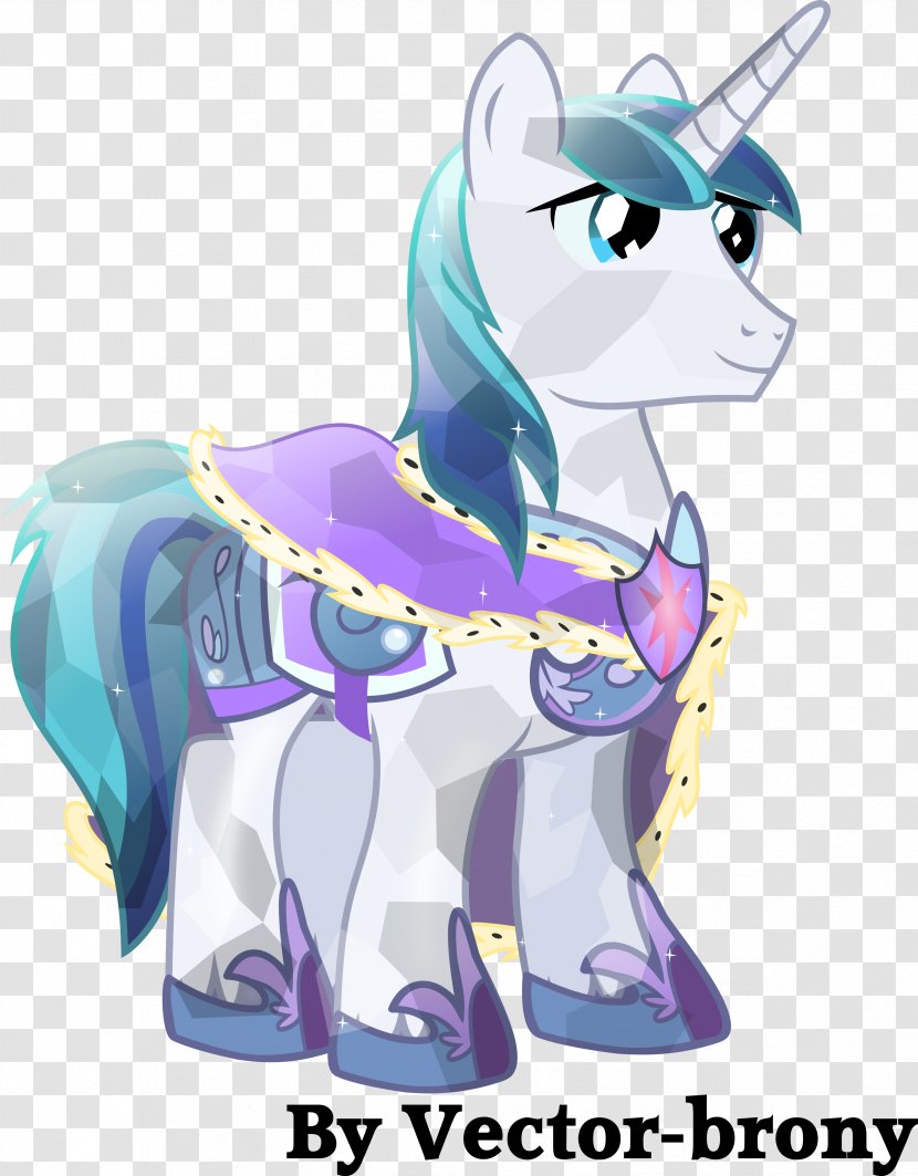 Twilight Sparkle Princess Cadance Rainbow Dash Applejack Pony - Cartoon - Shinning Transparent PNG