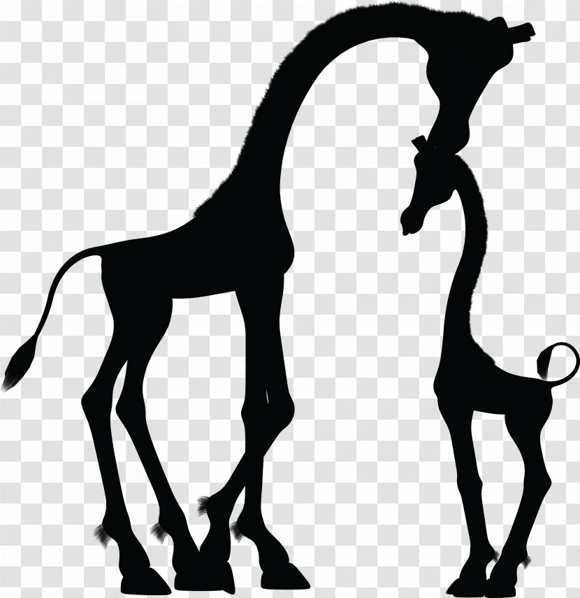 Baby Giraffes Silhouette Clip Art - Wildlife - Mom And Transparent PNG