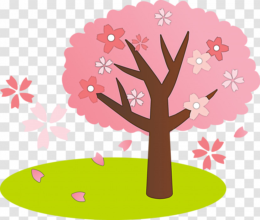 Cherry Flower Floral Flower Transparent PNG