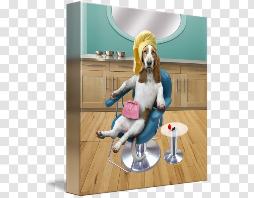 Basset Hound Beauty Parlour Photography Animal - Dog Transparent PNG