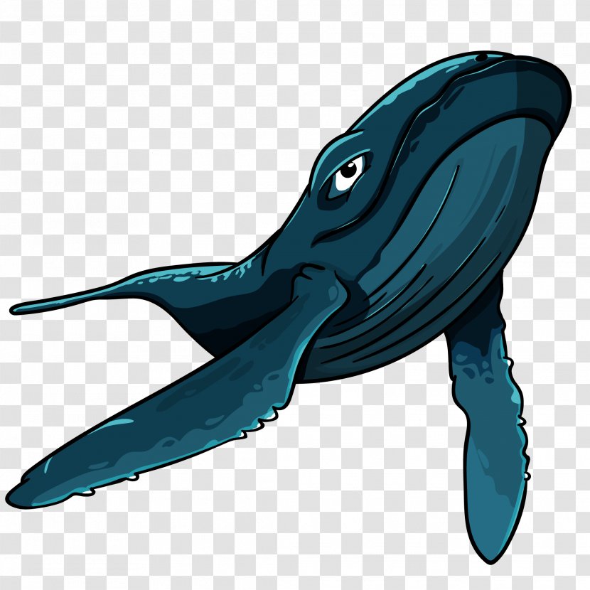 Shark Vector Graphics Blue Whale Euclidean Whales - Serenity Cartoon Animated Transparent PNG