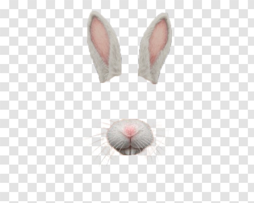Snapchat - Domestic Rabbit - Rat Transparent PNG