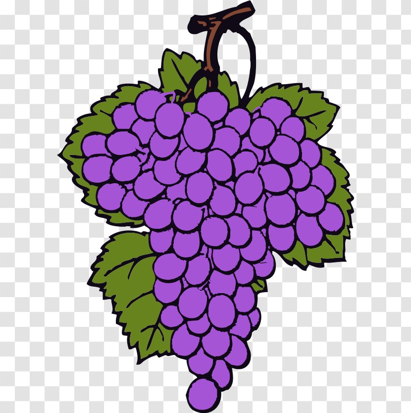 Wine Common Grape Vine Grappa Brandy Clip Art - Free Content - Grapes Images Transparent PNG