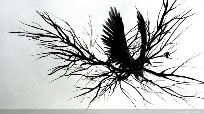 Crows MTV Live HD Psyop Viacom Media Networks - Tree - Crow Transparent PNG