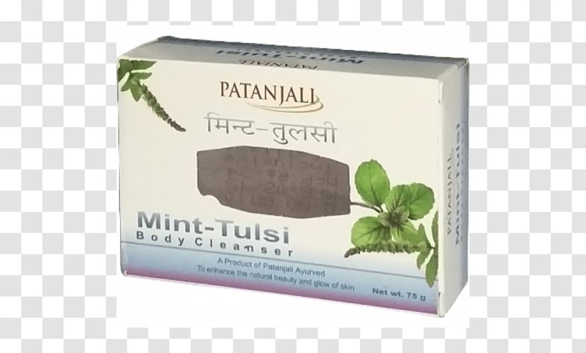 Soap Patanjali Ayurved Cleanser Grocery Store Aloe Vera - Skin Care Transparent PNG