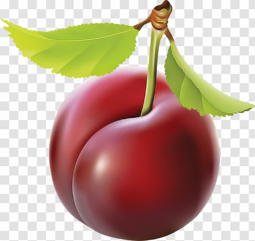 Cherry Fruit European Plum Plant Leaf Transparent PNG