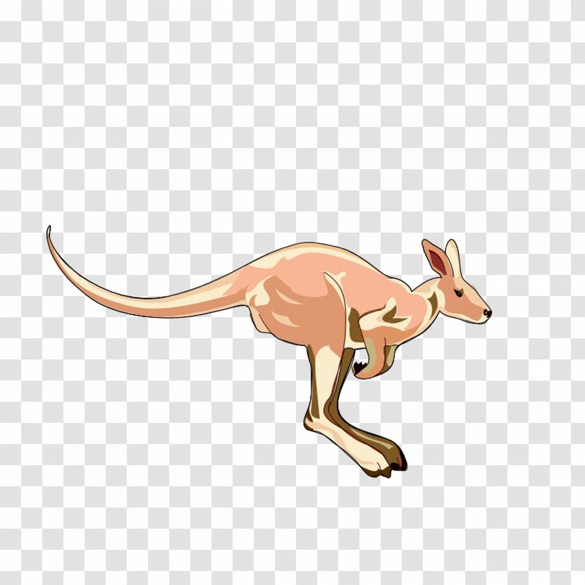 Kangaroo Clip Art - Wildlife - A That Jumps Up Transparent PNG