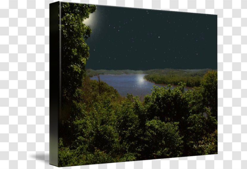 Lake Water Resources Land Lot Inlet Picture Frames - The Seventh Evening Of Moon Transparent PNG