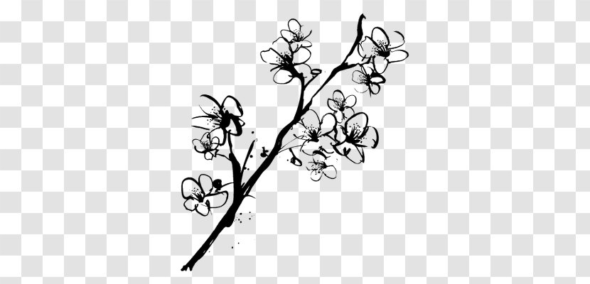 Drawing Cherry Blossom Sketch - Branch - Flower Transparent PNG