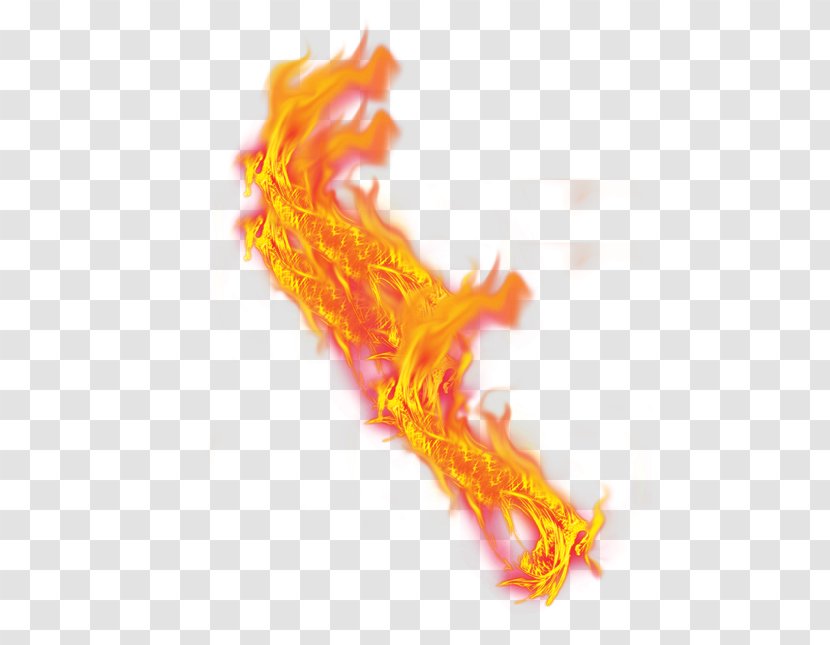 Computer Software - Flame Transparent PNG