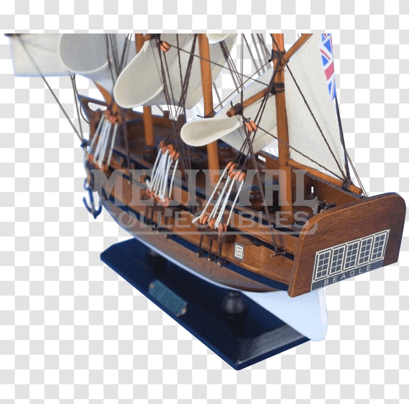 Caravel The Voyage Of Beagle HMS Ship - Carrack - Replica Transparent PNG