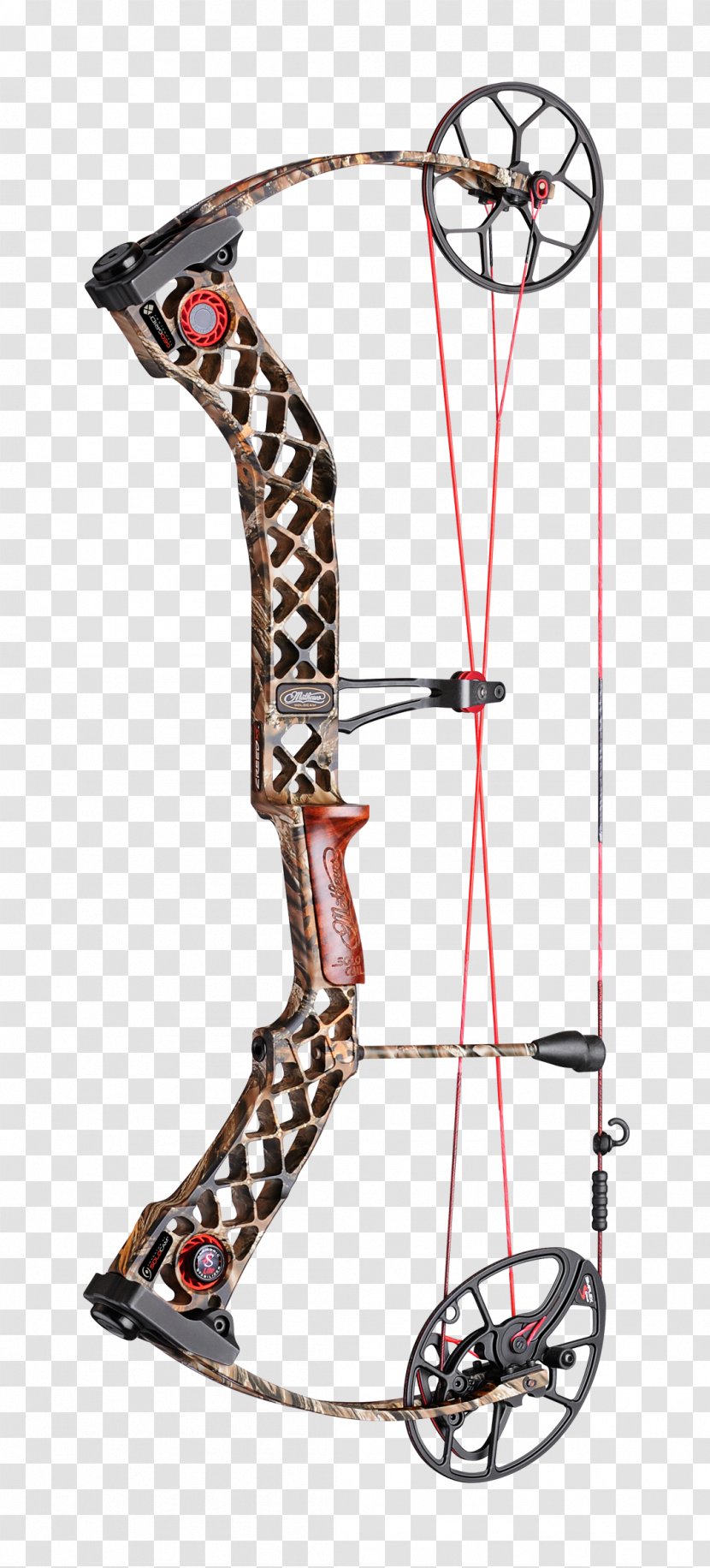 Bowhunting Compound Bows Bow And Arrow - Hunting Transparent PNG