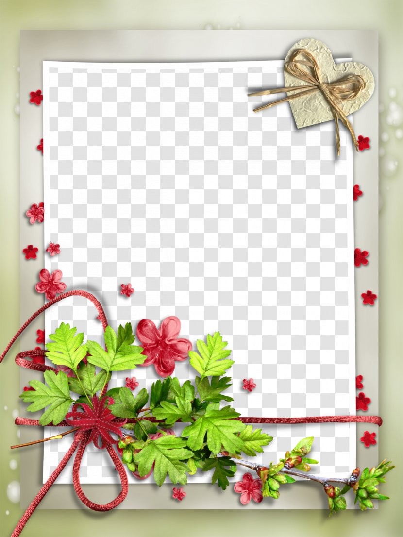 Picture Frame Idea Photography Film Molding - Rectangle - Mood Pictures Transparent PNG