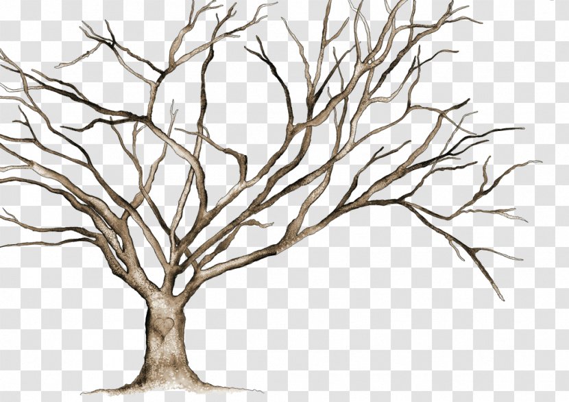 Tree Clip Art - Organism Transparent PNG