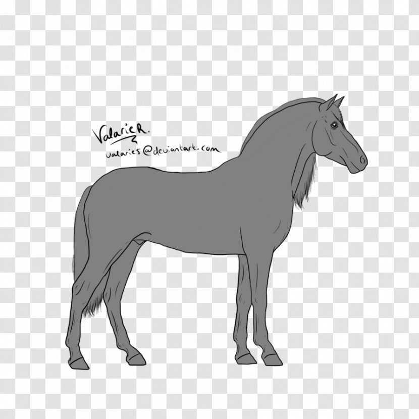 Mule Foal Stallion Mare Border Collie - Fictional Character - Mustang Transparent PNG
