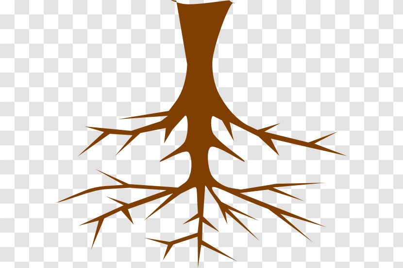 Root Tree Clip Art - Plant - Roots Transparent PNG