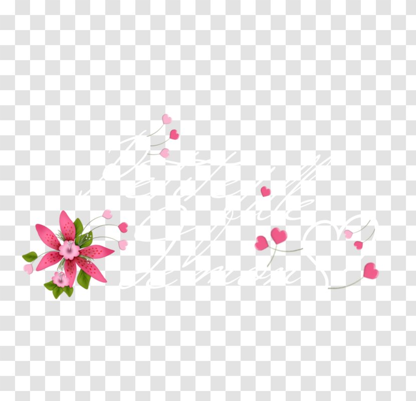 Petal Flower Floral Design Desktop Wallpaper - Flowering Plant Transparent PNG