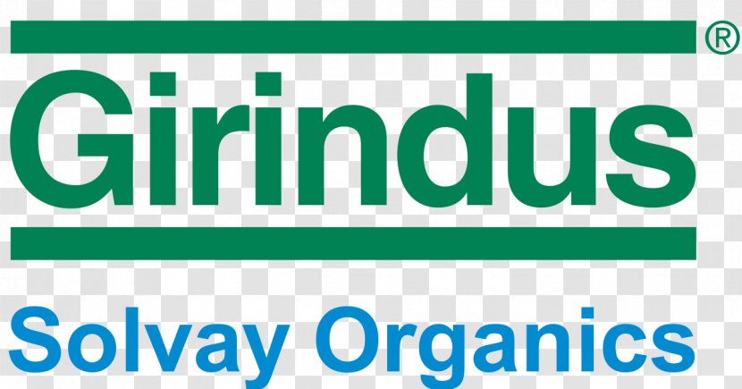 Logo Organization Brand Font Product - Solvay Sa Transparent PNG
