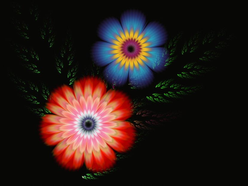 Fractal Art Flower DeviantArt Clip - Flowering Plant - Flowers Transparent PNG
