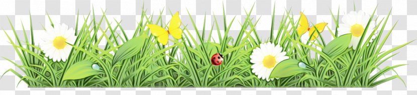 Grass Plant Flower Family Meadow Transparent PNG