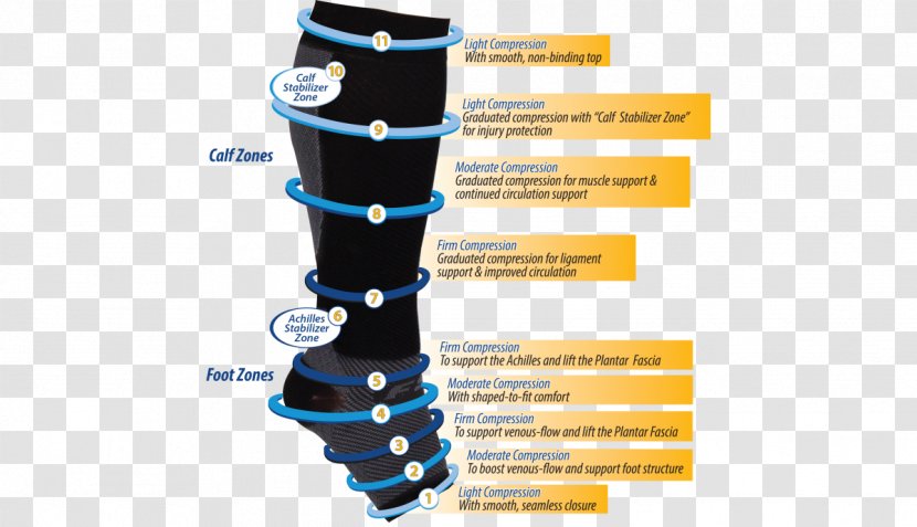 Knee Calf Foot Sole Heel Pain - Medicine - Care Transparent PNG