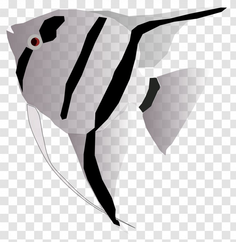 Clip Art Queen Angelfish Freshwater - Wikimedia Commons - Fish Transparent PNG