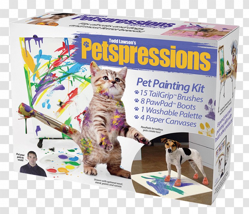 Practical Joke Decorative Box Gift Humour - Cat Like Mammal Transparent PNG