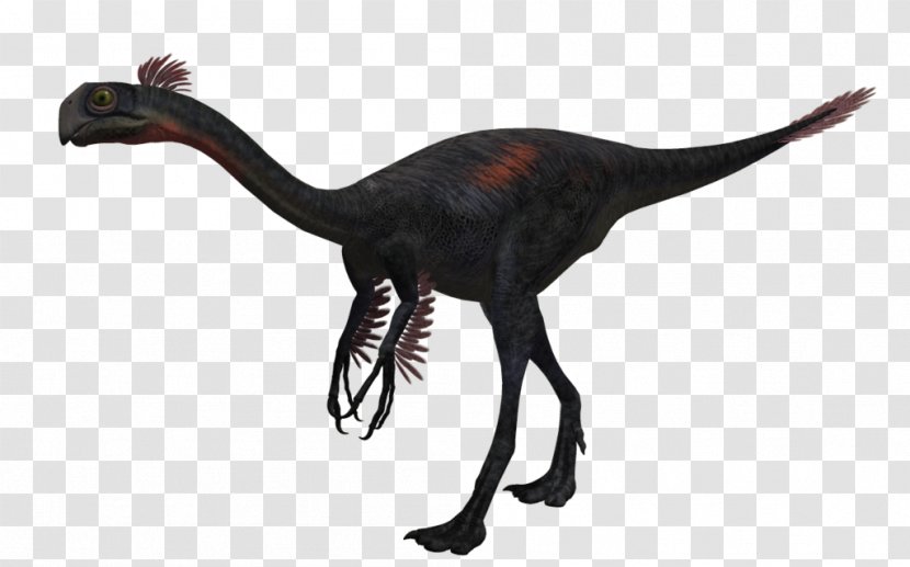 Gigantoraptor Citipati Oviraptorosauria Velociraptor Dinosaur - Walking With Dinosaurs Transparent PNG