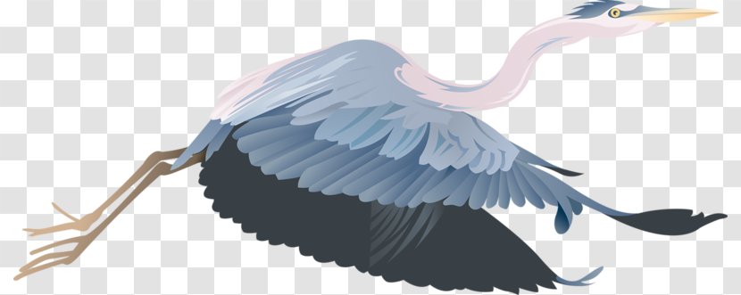Crane Bird Clip Art - Beak - Cartoon Transparent PNG