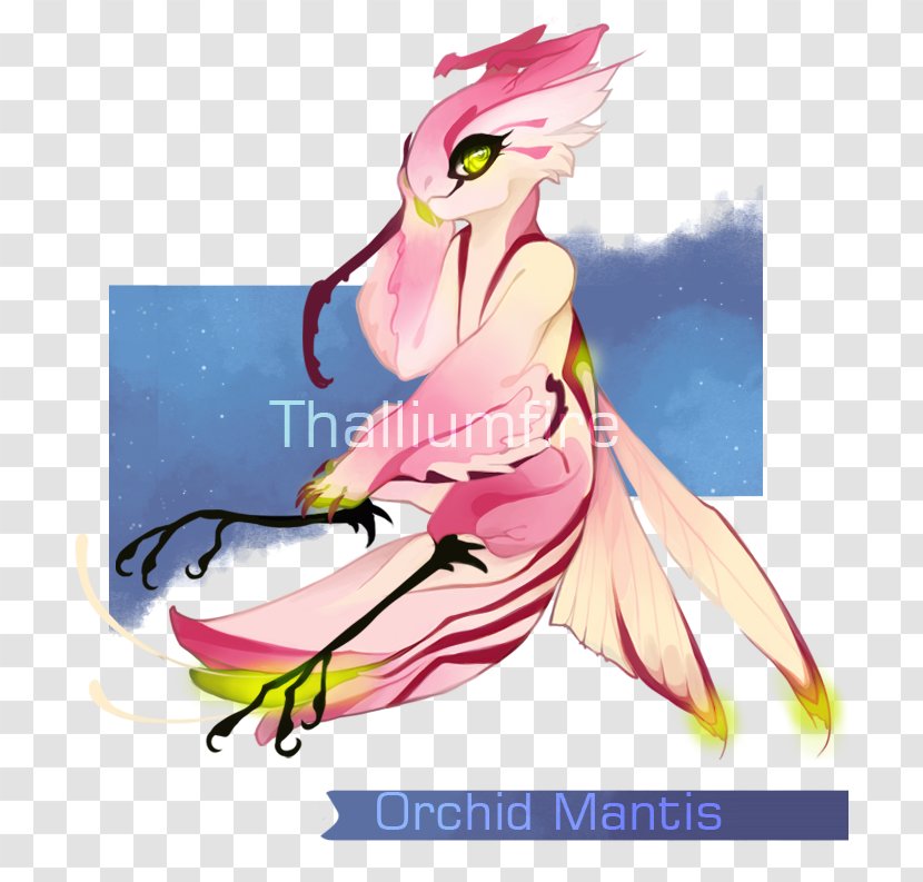 Artist Orchid Mantis Drawing - Heart Transparent PNG