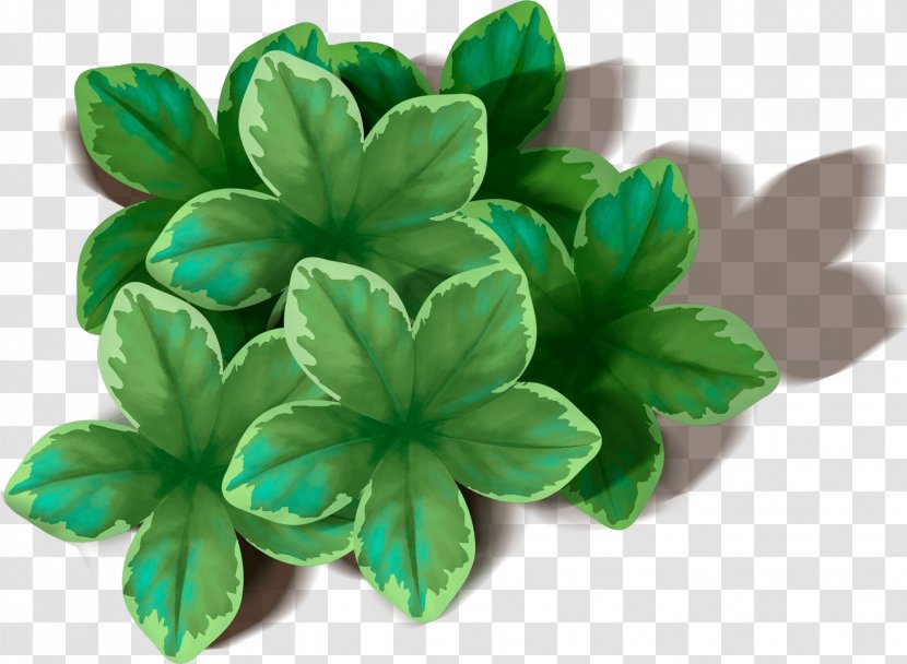 Leaf Wallpaper - Shamrock - Green Transparent PNG