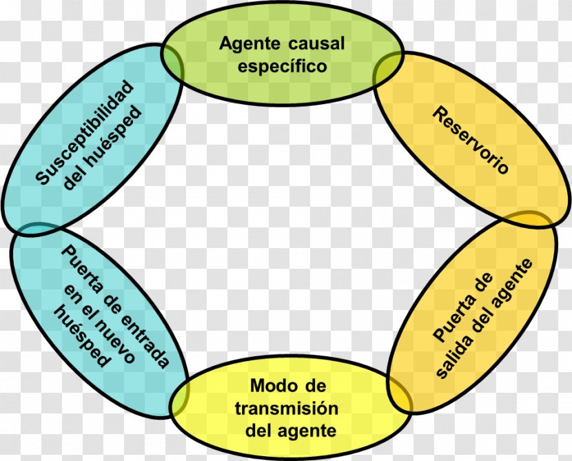 Infection Bioseguridad Hospitalaria Infectious Disease Biosecurity Organism - Text - Salpicadura Transparent PNG