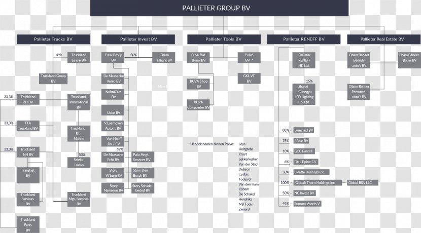 Organizational Chart Pallieter Group B.V. Holding Company Visie - Plan Transparent PNG