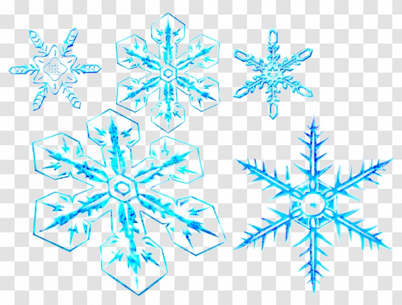 Snowflake Download Clip Art - Snowflakes Transparent PNG