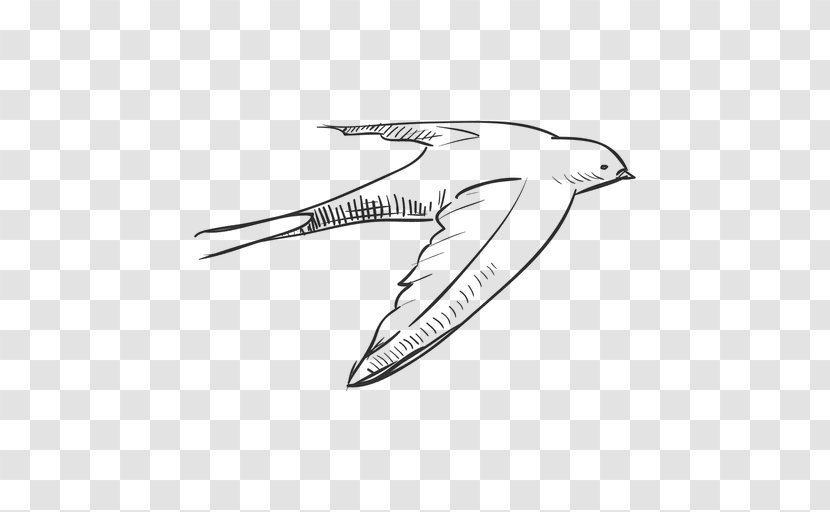 Bird Swallow Drawing - Mammal - Drawn Transparent PNG