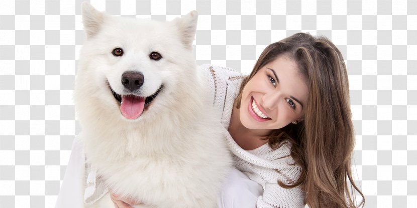 Dog Grooming Pet Sitting Coat - Snout Transparent PNG