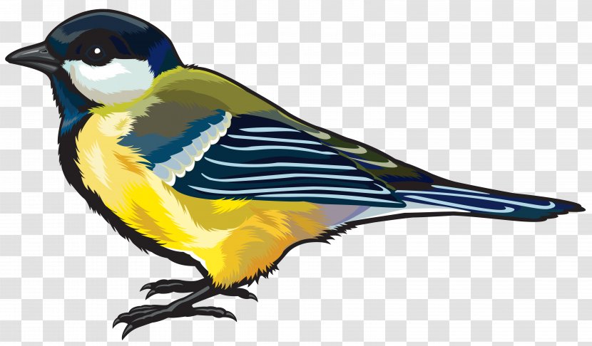 Hummingbird Clip Art - Fauna - Birds Transparent PNG