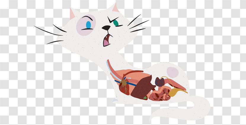 Kitten Whiskers Cat Dog - Heart Transparent PNG