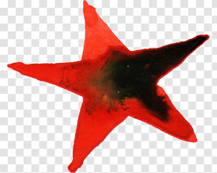 Watercolour Flowers Watercolor Painting Carpet Star - Starfish Transparent PNG
