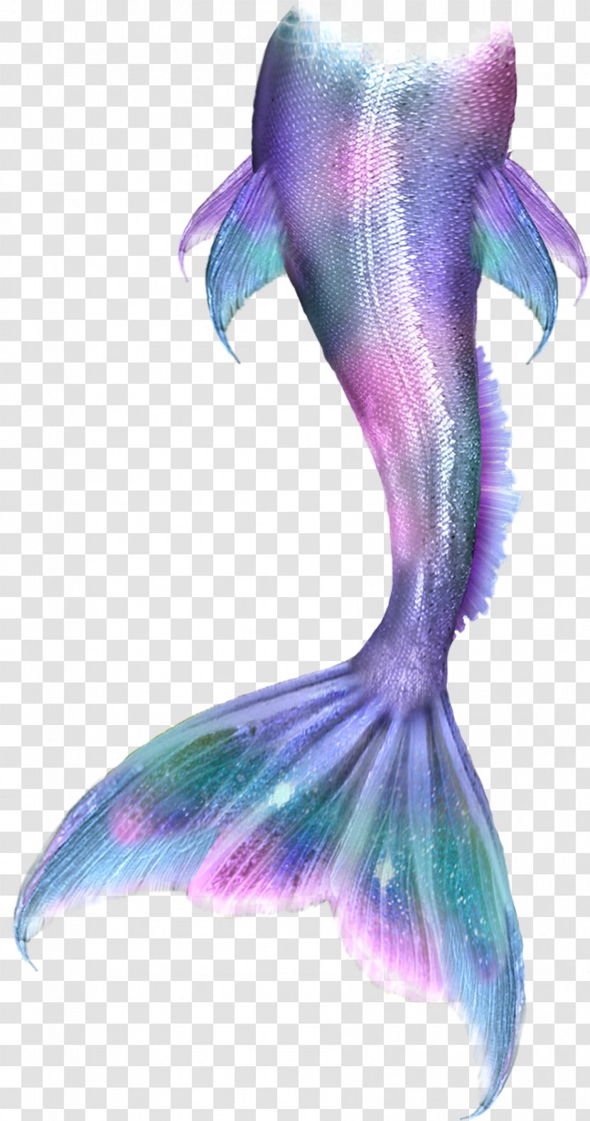 Mermaid Merliah Summers Merman Clip Art - Finfolk - Mermaid,tail Transparent PNG