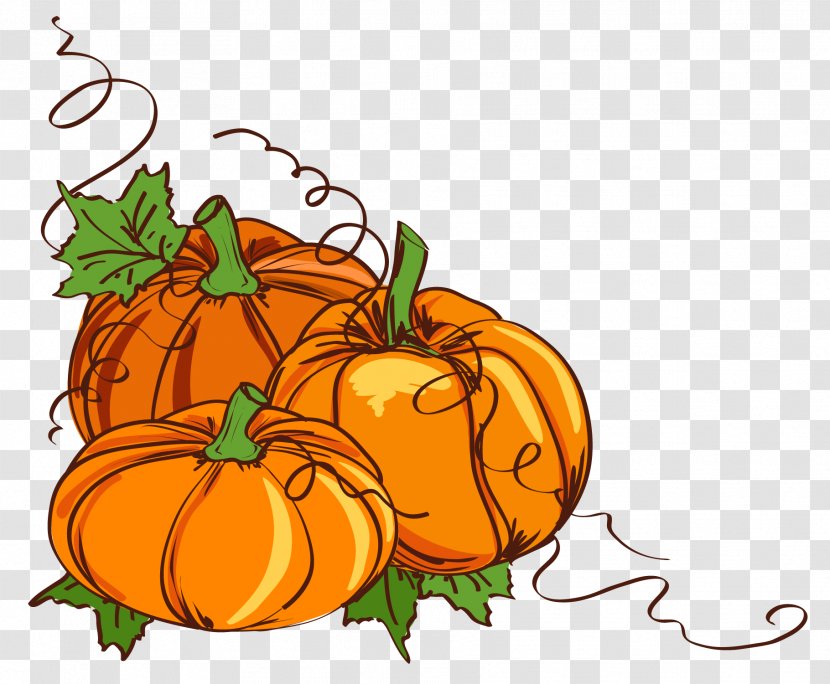 Wedding Invitation Thanksgiving Clip Art - Squash - Pumpkin Vine Hand-painted Illustration Transparent PNG