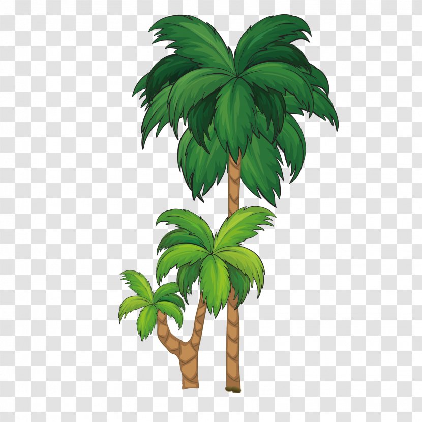 Arecaceae Tree Royalty-free Illustration - Grass - Coconut Free Download Transparent PNG