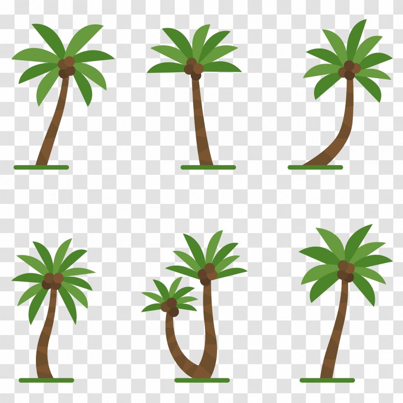 Coconut Oil Palm Trees Image Clip Art - File Formats - Big Tree Transparent PNG